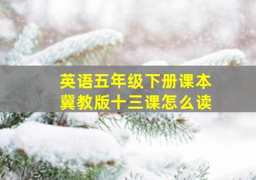 英语五年级下册课本冀教版十三课怎么读