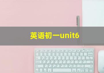 英语初一unit6