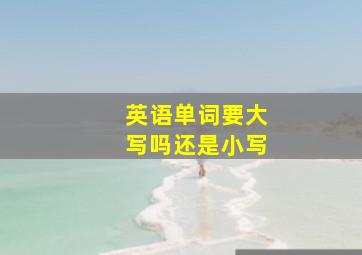 英语单词要大写吗还是小写