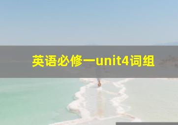 英语必修一unit4词组