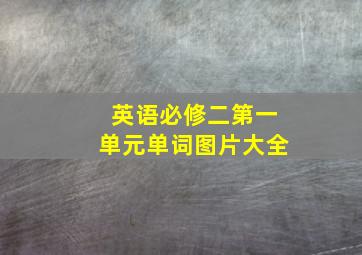 英语必修二第一单元单词图片大全