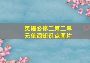 英语必修二第二单元单词知识点图片