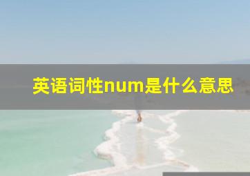 英语词性num是什么意思