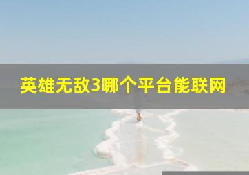 英雄无敌3哪个平台能联网