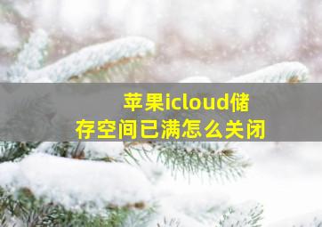 苹果icloud储存空间已满怎么关闭