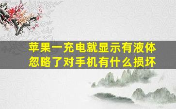 苹果一充电就显示有液体忽略了对手机有什么损坏