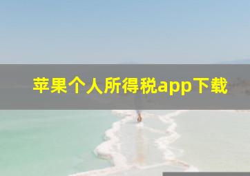 苹果个人所得税app下载