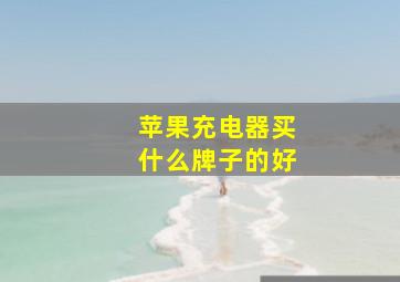 苹果充电器买什么牌子的好