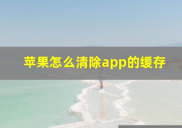 苹果怎么清除app的缓存