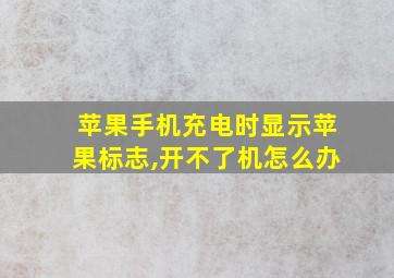 苹果手机充电时显示苹果标志,开不了机怎么办