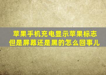 苹果手机充电显示苹果标志但是屏幕还是黑的怎么回事儿