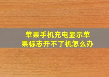 苹果手机充电显示苹果标志开不了机怎么办