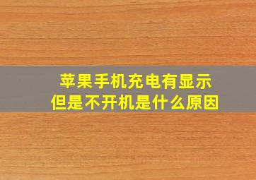 苹果手机充电有显示但是不开机是什么原因