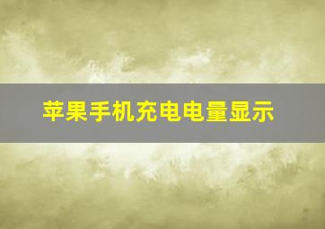 苹果手机充电电量显示