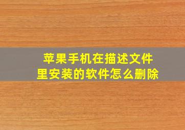 苹果手机在描述文件里安装的软件怎么删除