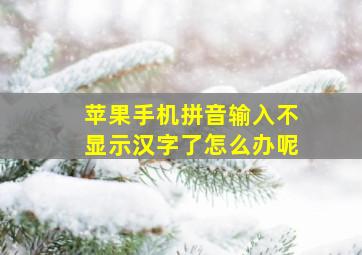 苹果手机拼音输入不显示汉字了怎么办呢