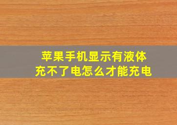 苹果手机显示有液体充不了电怎么才能充电