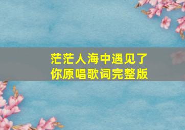 茫茫人海中遇见了你原唱歌词完整版