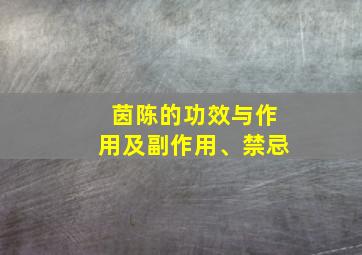 茵陈的功效与作用及副作用、禁忌