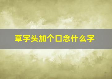 草字头加个口念什么字