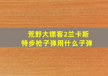 荒野大镖客2兰卡斯特步枪子弹用什么子弹