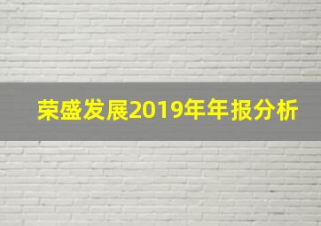 荣盛发展2019年年报分析