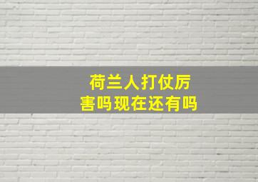 荷兰人打仗厉害吗现在还有吗