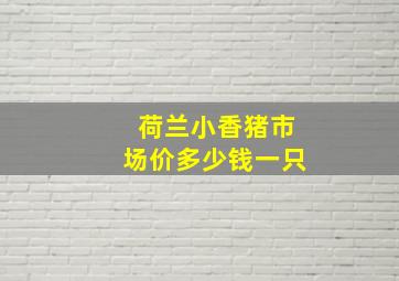 荷兰小香猪市场价多少钱一只