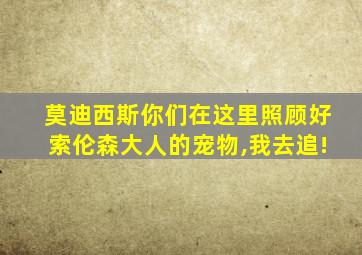 莫迪西斯你们在这里照顾好索伦森大人的宠物,我去追!