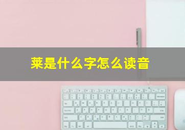 莱是什么字怎么读音