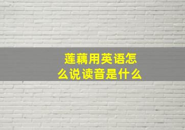 莲藕用英语怎么说读音是什么