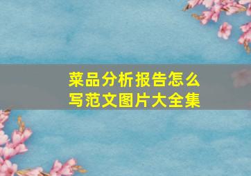 菜品分析报告怎么写范文图片大全集