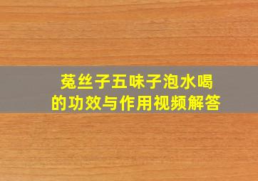 菟丝子五味子泡水喝的功效与作用视频解答