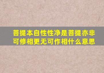 菩提本自性性净是菩提亦非可修相更无可作相什么意思