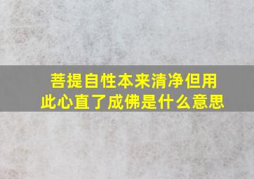 菩提自性本来清净但用此心直了成佛是什么意思