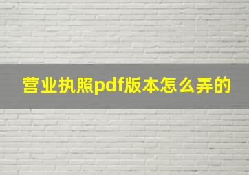 营业执照pdf版本怎么弄的