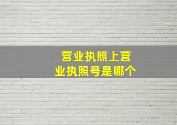 营业执照上营业执照号是哪个