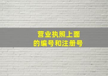 营业执照上面的编号和注册号