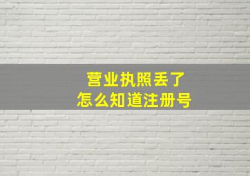 营业执照丢了怎么知道注册号