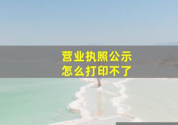 营业执照公示怎么打印不了