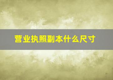 营业执照副本什么尺寸