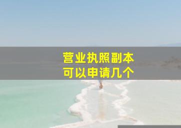 营业执照副本可以申请几个