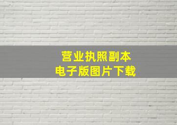 营业执照副本电子版图片下载