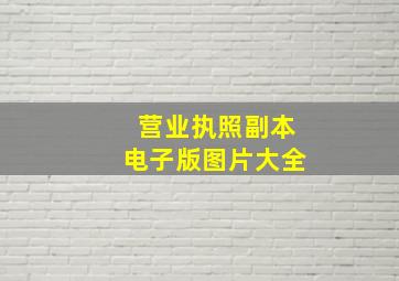 营业执照副本电子版图片大全