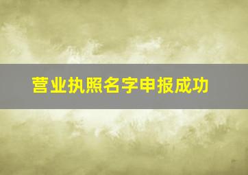 营业执照名字申报成功