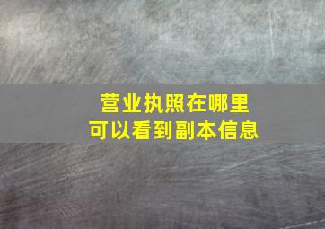 营业执照在哪里可以看到副本信息