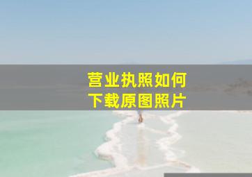 营业执照如何下载原图照片