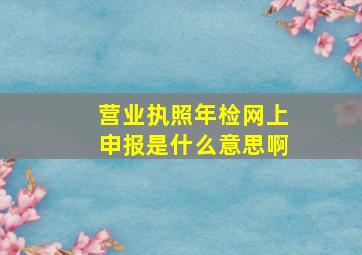 营业执照年检网上申报是什么意思啊