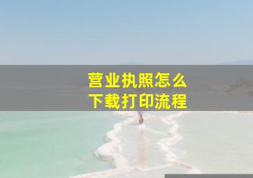 营业执照怎么下载打印流程