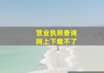 营业执照查询网上下载不了